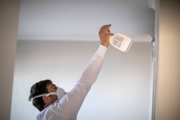 Best Local Mold Removal Service  in Scottsbluff, NE