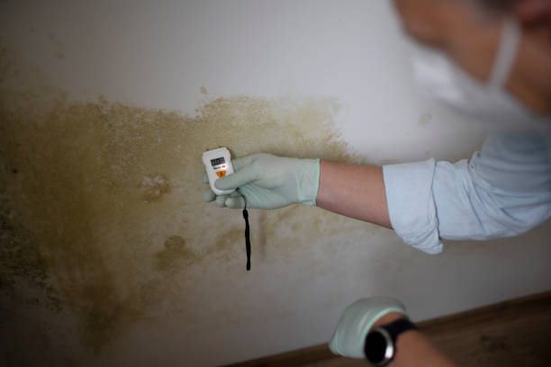 Best Mold Cleaning Services  in Scottsbluff, NE