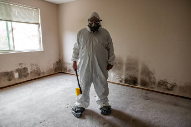 Office Mold Removal Services in Scottsbluff, NE